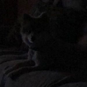 Meet your Posher, Kerry